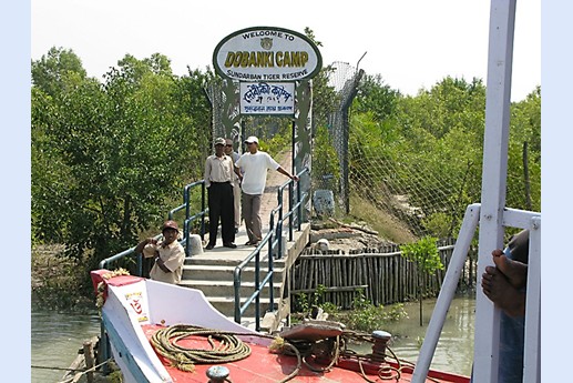 Viaggio in India 2008 - Sunderbans